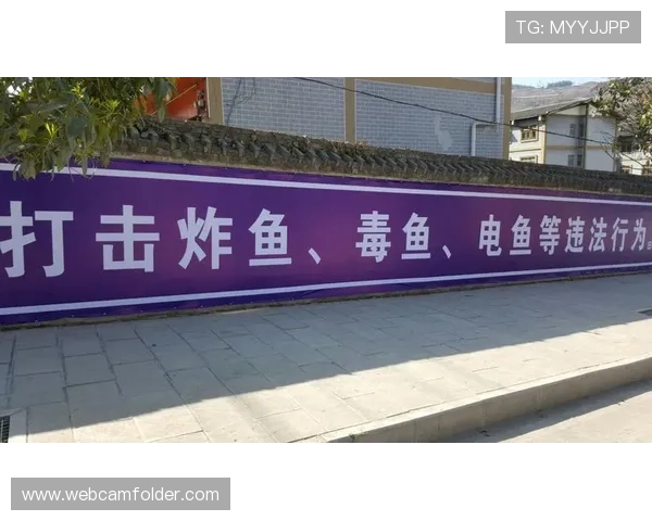 全面解析博鱼平台的安全保障措施确保玩家资金与信息安全